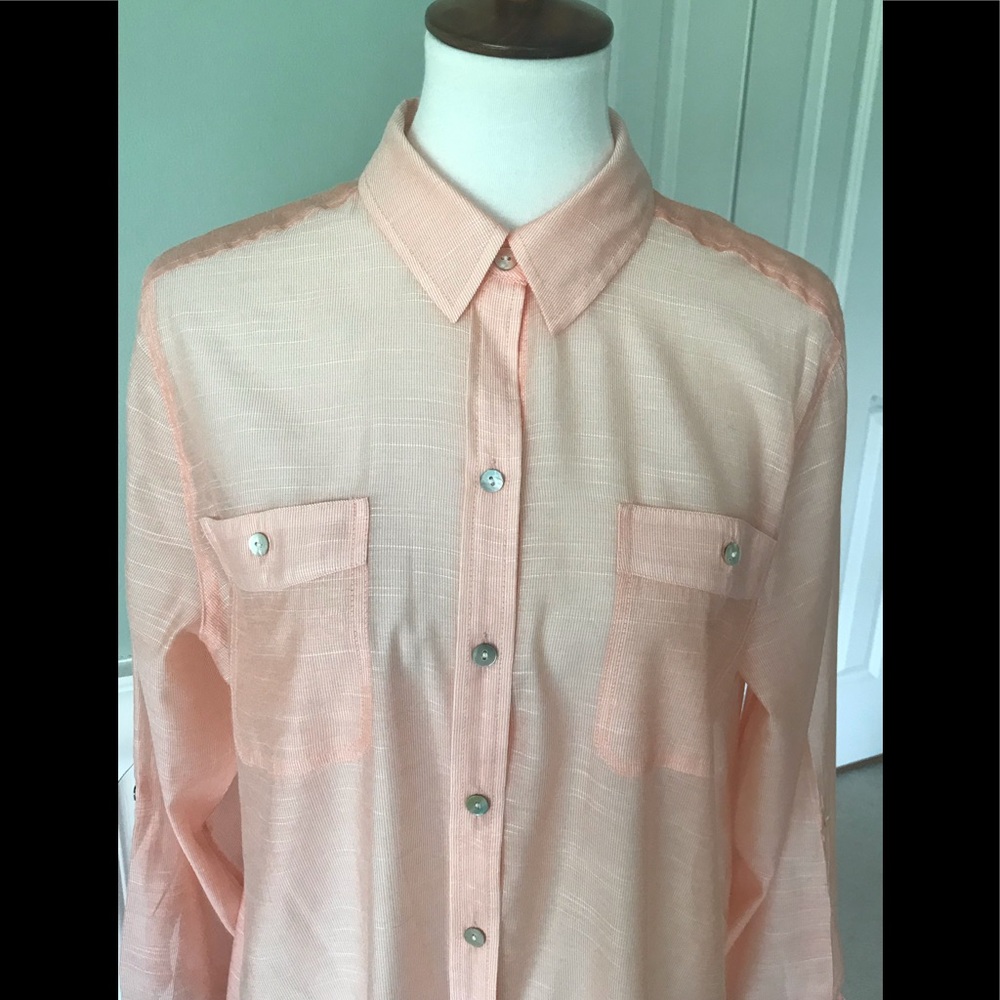 Chico’s Sheer Blouse with adjustable sleeves.